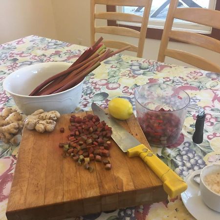 Baxter House B&B Apartment אן ארבור מראה חיצוני תמונה