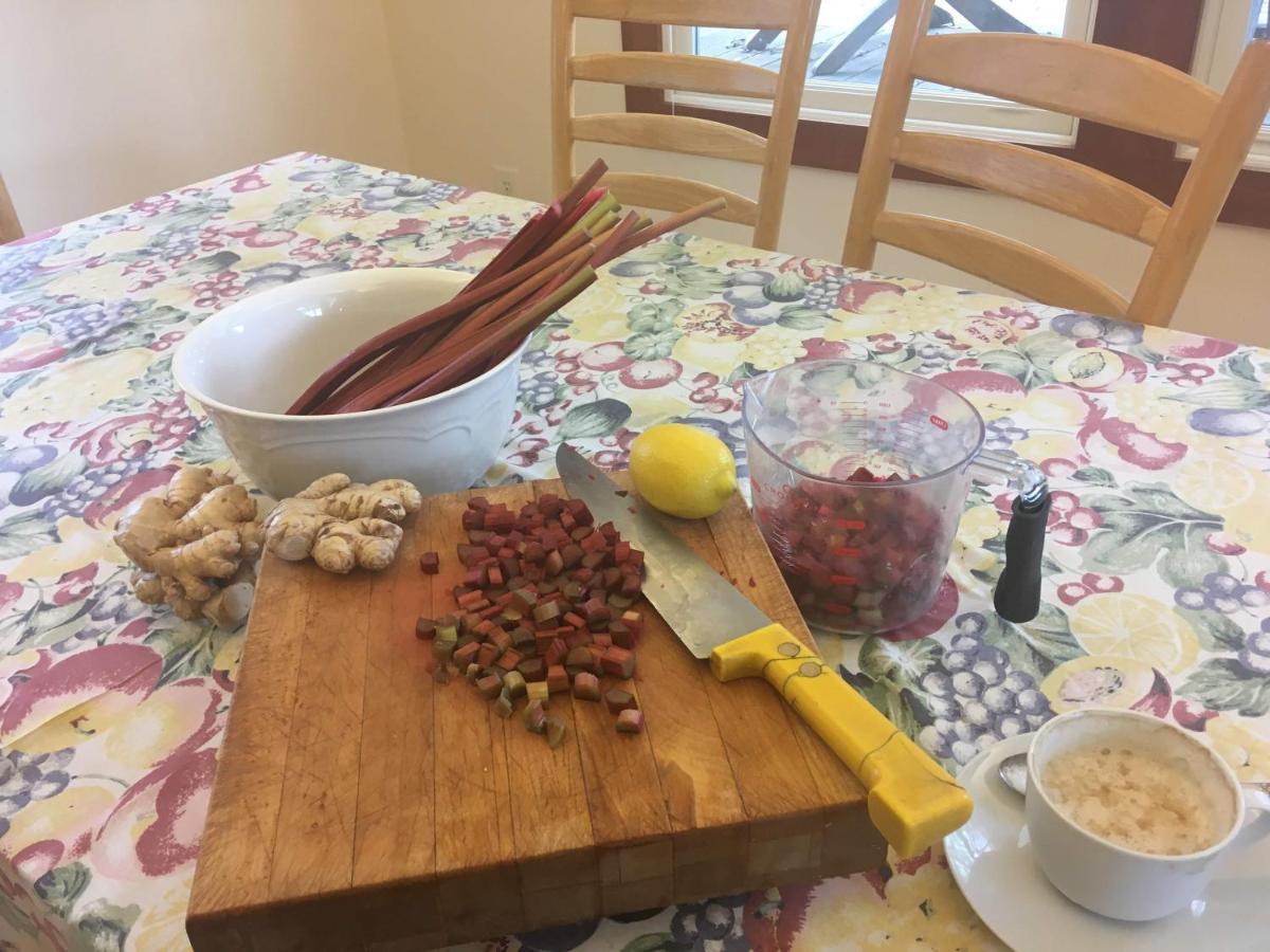 Baxter House B&B Apartment אן ארבור מראה חיצוני תמונה